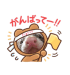 うちのいたちーず（個別スタンプ：1）