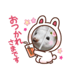 うちのいたちーず（個別スタンプ：2）