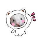 うちのいたちーず（個別スタンプ：5）