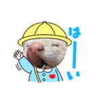 うちのいたちーず（個別スタンプ：8）