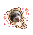 うちのいたちーず（個別スタンプ：10）