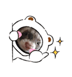 うちのいたちーず（個別スタンプ：15）