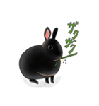 家族で使いやすいうさぎさんスタンプ（個別スタンプ：5）