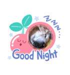 ダンシンスタンプ（個別スタンプ：3）
