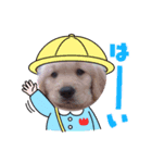 ダンシンスタンプ（個別スタンプ：5）