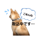My Ricky 1（個別スタンプ：6）
