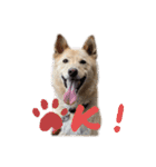 My Ricky 1（個別スタンプ：7）