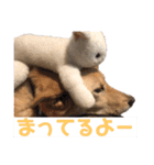My Ricky 1（個別スタンプ：10）