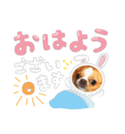 日常で使えるU^ェ^Uのスタンプ（個別スタンプ：1）