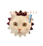 あいさつねこのむーちゃん（個別スタンプ：3）