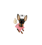 ヤンKeith（個別スタンプ：6）