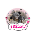 ウチのくぅたん❤︎（個別スタンプ：7）