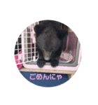 ウチのくぅたん❤︎（個別スタンプ：8）