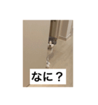 みのくん（猫）（個別スタンプ：2）