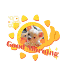 犬好き♥（個別スタンプ：1）
