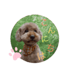 犬好き♥（個別スタンプ：3）