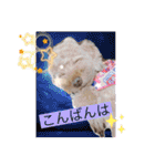 犬好き♥（個別スタンプ：4）