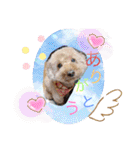犬好き♥（個別スタンプ：7）