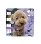 犬好き♥（個別スタンプ：8）
