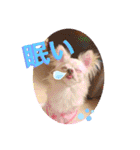 犬好き♥（個別スタンプ：14）