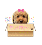 犬好き♥（個別スタンプ：15）