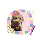 犬好き♥（個別スタンプ：16）