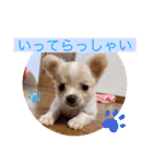 犬好き♥（個別スタンプ：18）