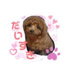 犬好き♥（個別スタンプ：24）