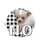 犬好き♥（個別スタンプ：26）