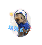 犬好き♥（個別スタンプ：27）