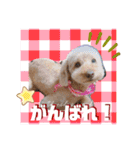犬好き♥（個別スタンプ：28）