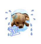 犬好き♥（個別スタンプ：29）