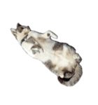 だいたい寝てる猫（個別スタンプ：14）