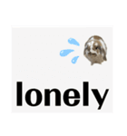 Rabbit. Holland Lop. (English)（個別スタンプ：26）