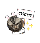 可愛い猫好き集まれ（個別スタンプ：8）