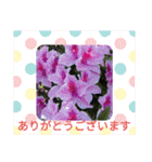 季節のお花たち 敬語（個別スタンプ：1）