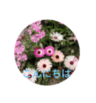 季節のお花たち 敬語（個別スタンプ：2）