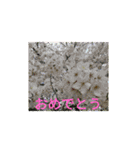 季節のお花たち 敬語（個別スタンプ：3）