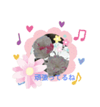 季節のお花たち 敬語（個別スタンプ：5）
