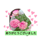 季節のお花たち 敬語（個別スタンプ：7）