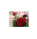 季節のお花たち 敬語（個別スタンプ：9）
