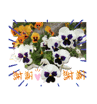 季節のお花たち 敬語（個別スタンプ：16）