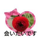 季節のお花たち 敬語（個別スタンプ：20）