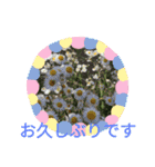 季節のお花たち 敬語（個別スタンプ：21）
