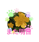 季節のお花たち 敬語（個別スタンプ：22）
