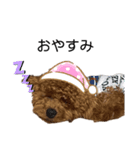 愛犬ことちゃん 2（個別スタンプ：7）