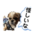 モヒカン蓮くん8（個別スタンプ：3）