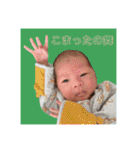 いろいろきっぺ（個別スタンプ：36）