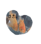 ちびあかりのすたんぷ（個別スタンプ：8）