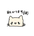 ねこと豆柴（個別スタンプ：5）